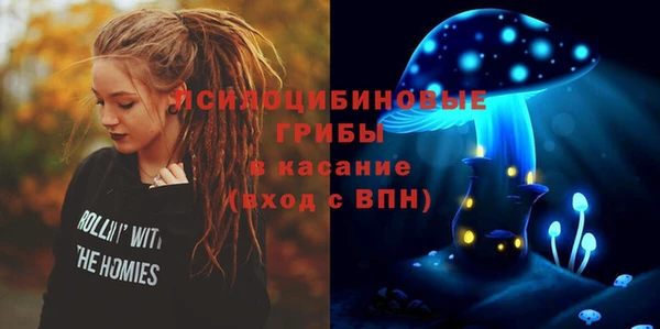 мяу мяу мука Баксан