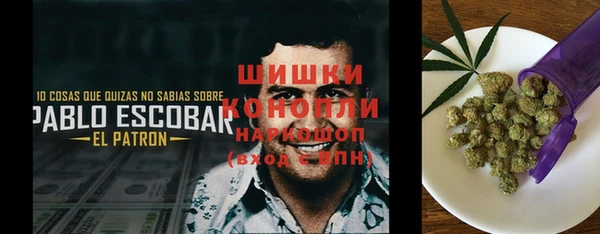 крисы Балахна