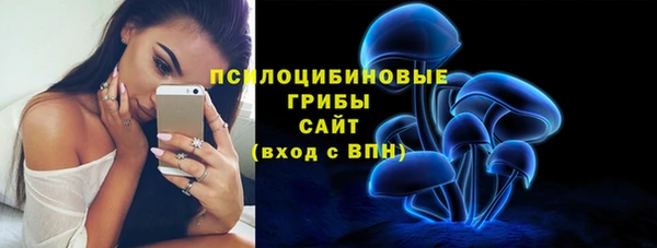мяу мяу мука Баксан