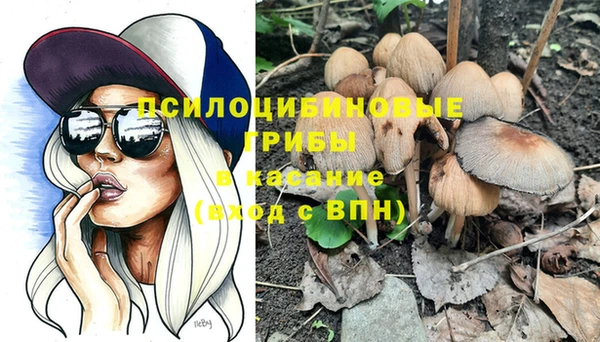 крисы Балахна