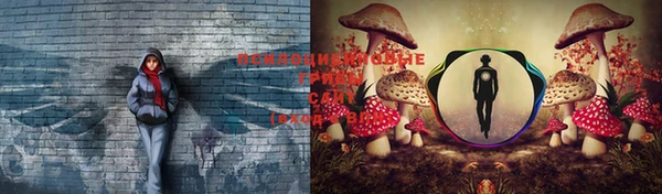 крисы Балахна