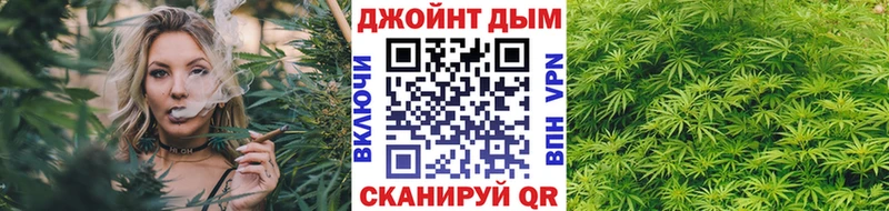 что такое   Гай  Каннабис SATIVA & INDICA 